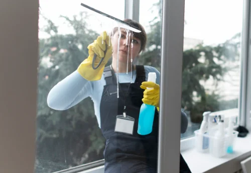 Nettoyage de vitres intérieures et extérieures à Pouzilhac